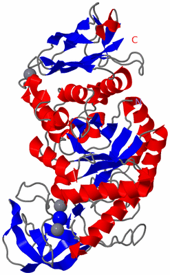 Image Asym./Biol. Unit