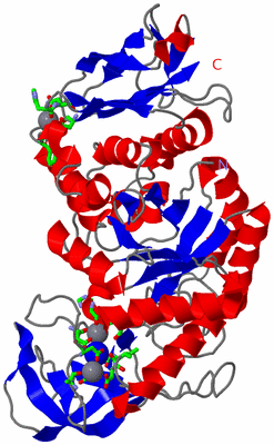 Image Asym./Biol. Unit - sites