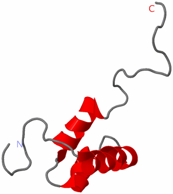 Image NMR Structure - model 1