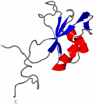 Image NMR Structure - model 1