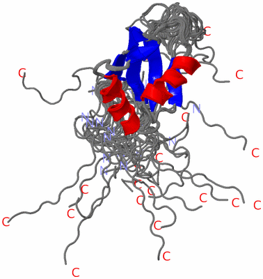 Image NMR Structure - all models