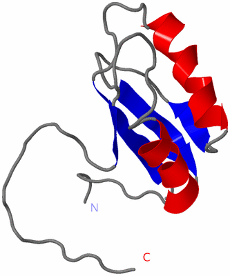 Image NMR Structure - model 1