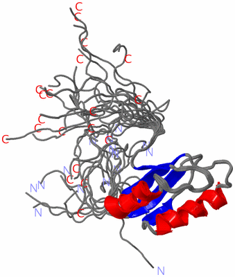 Image NMR Structure - all models