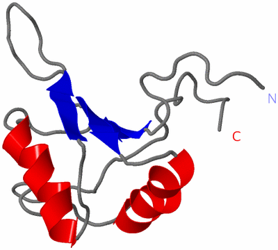 Image NMR Structure - model 1