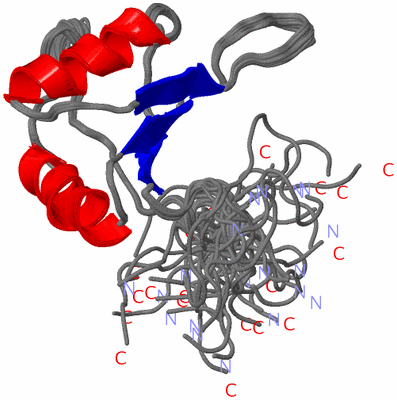 Image NMR Structure - all models