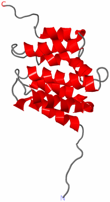 Image NMR Structure - model 1