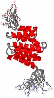 Image NMR Structure - all models