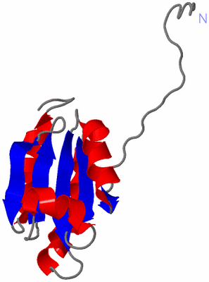 Image NMR Structure - model 1