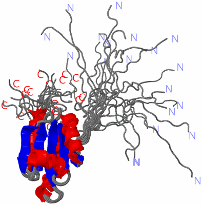 Image NMR Structure - all models