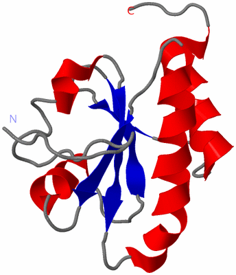 Image NMR Structure - model 1