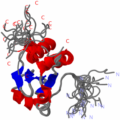 Image NMR Structure - all models