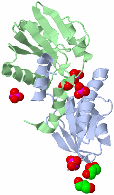 Image Biological Unit 1