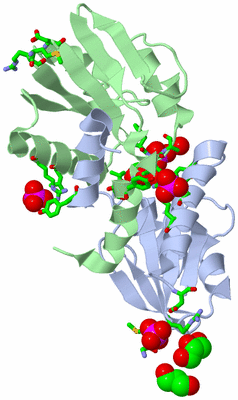 Image Biol. Unit 1 - sites