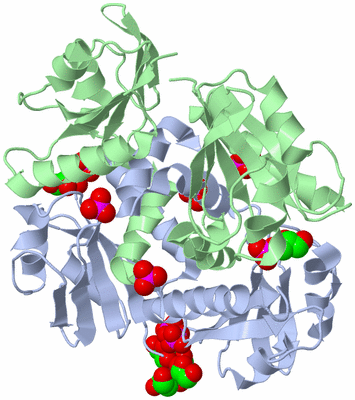 Image Biological Unit 2