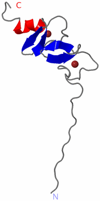 Image NMR Structure - model 1