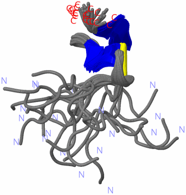 Image NMR Structure - all models