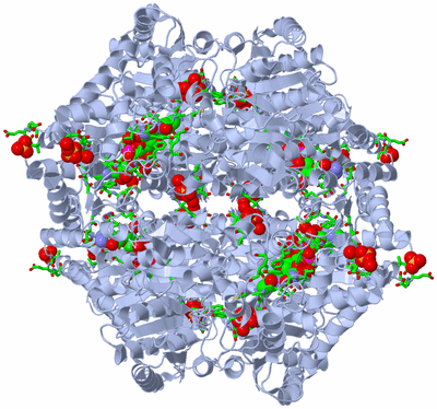 Image Biol. Unit 1 - sites