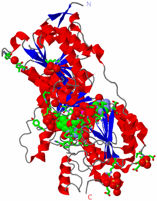 Image Asym. Unit - sites