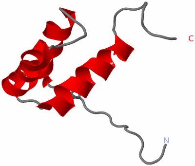 Image NMR Structure - model 1