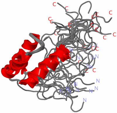 Image NMR Structure - all models