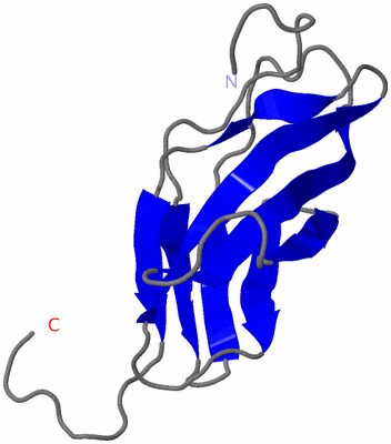 Image NMR Structure - model 1