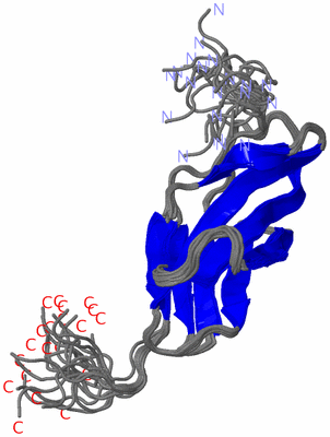 Image NMR Structure - all models