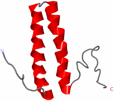 Image NMR Structure - model 1