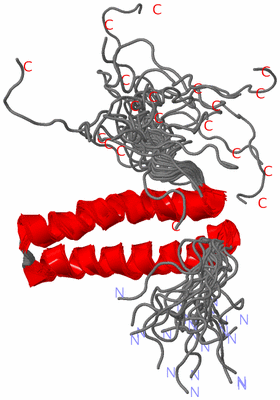 Image NMR Structure - all models