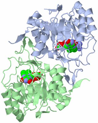 Image Asym./Biol. Unit