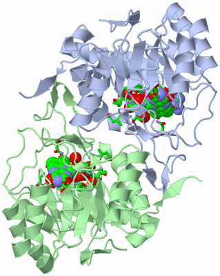 Image Asym./Biol. Unit - sites