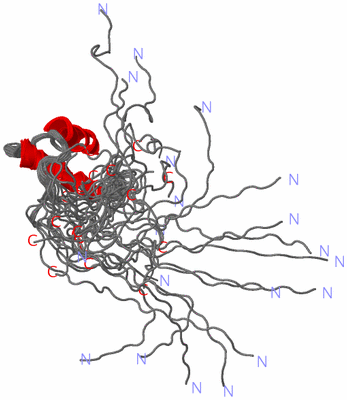 Image NMR Structure - all models