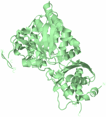 Image Biological Unit 2