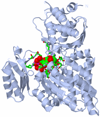 Image Biol. Unit 1 - sites