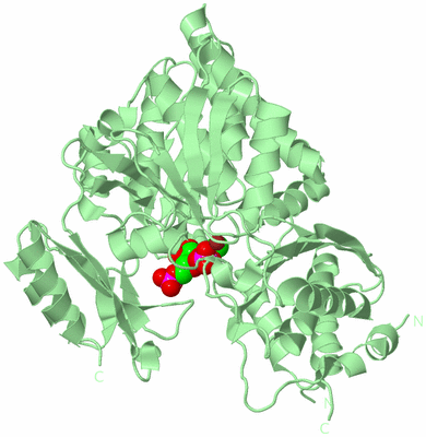 Image Biological Unit 2