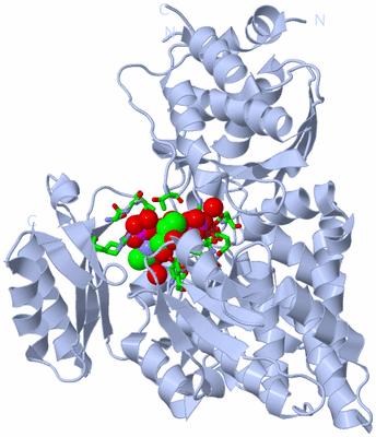 Image Biol. Unit 1 - sites