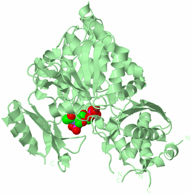 Image Biological Unit 2