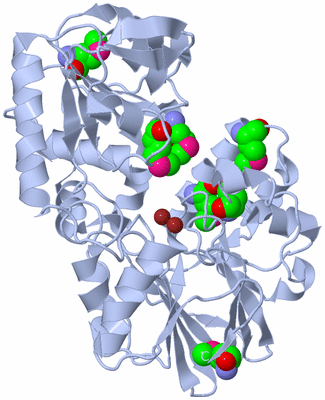 Image Biological Unit 1