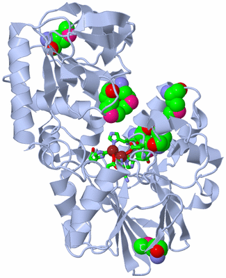 Image Biol. Unit 1 - sites