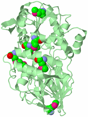 Image Biological Unit 2