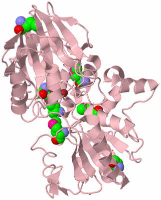 Image Biological Unit 3