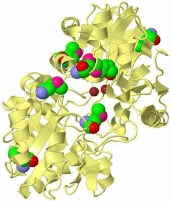 Image Biological Unit 4