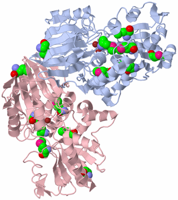 Image Biological Unit 5