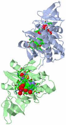 Image Asym./Biol. Unit - sites