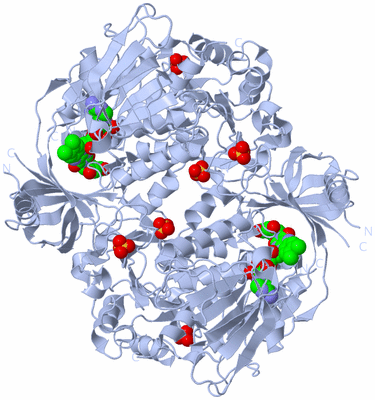 Image Biological Unit 1