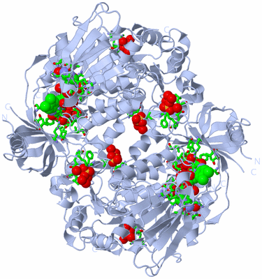 Image Biol. Unit 1 - sites