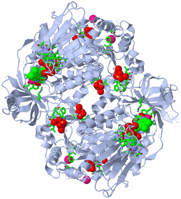 Image Biol. Unit 1 - sites