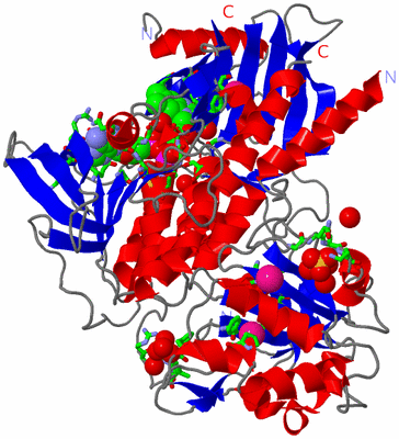 Image Asym. Unit - sites