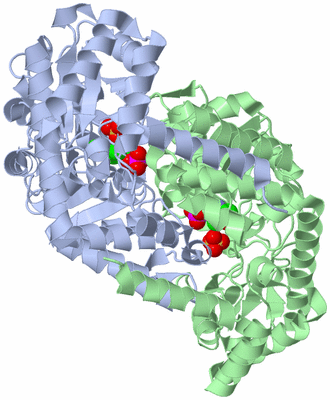 Image Asym./Biol. Unit