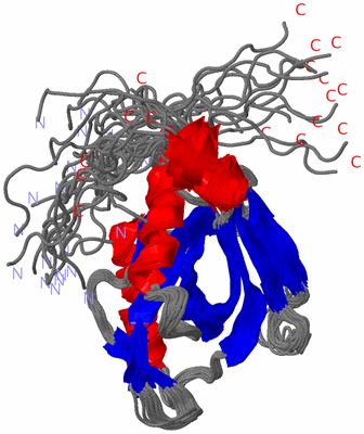 Image NMR Structure - all models