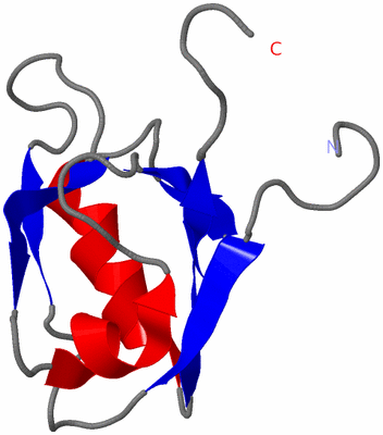 Image NMR Structure - model 1